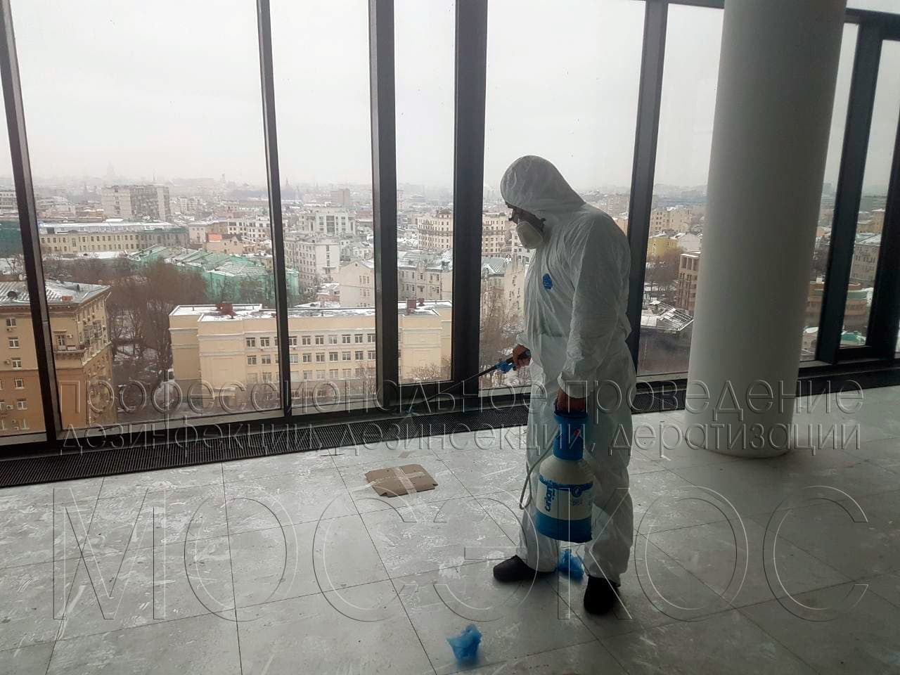 Обработка от тараканов в квартире в Павловском Посаде
