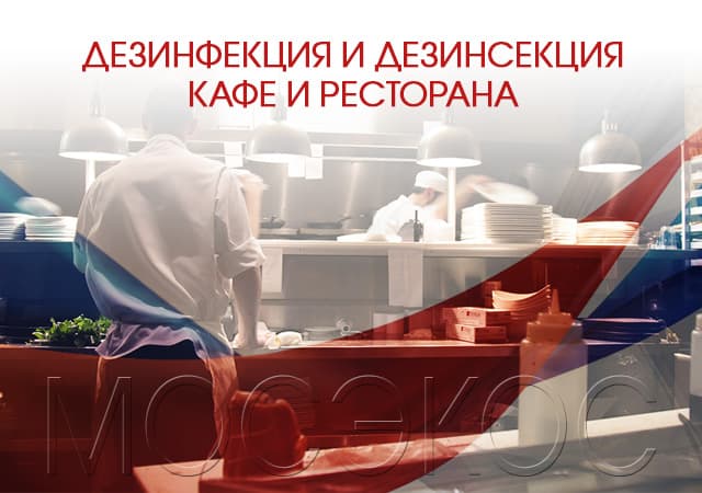 Дезинсекция предприятия общественного питания в Павловском Посаде